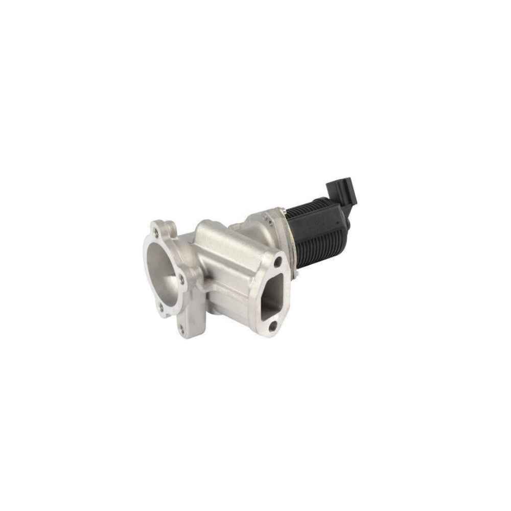 Doblo-Corsa.C 1.3Mjt 75Hp Egr Valfi - DEL-EG10257-12B1 - 55184651 