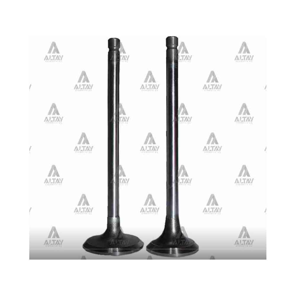L-300 E.M. L-200 0.50 In-4 Ex-4 Supap Takım - GNS-05-3721-3722 